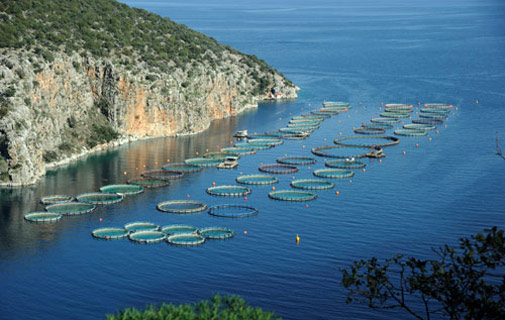 aquaculture