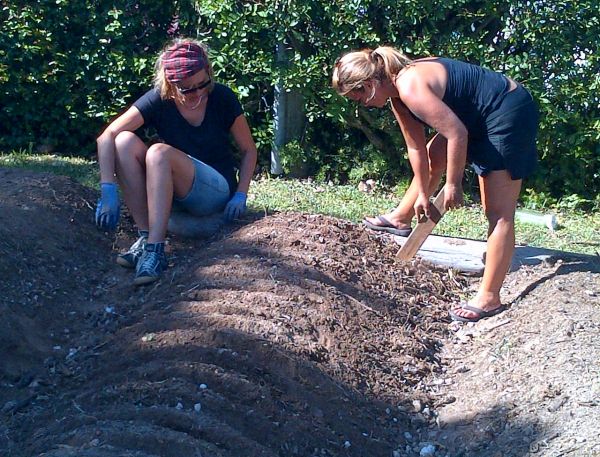 catlin_garden_planting