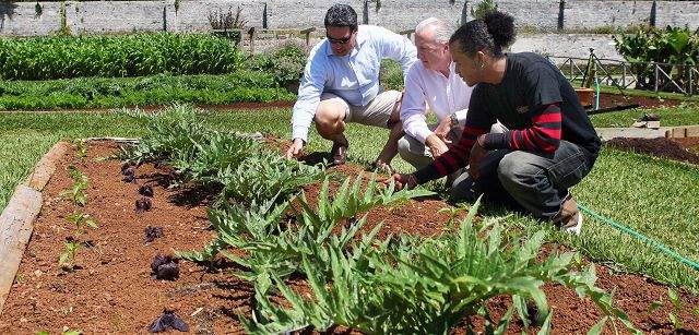 healthyharvest2011