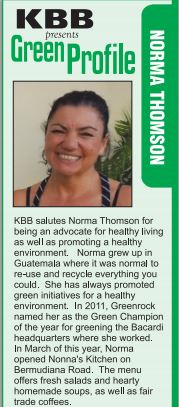 kbb norma1